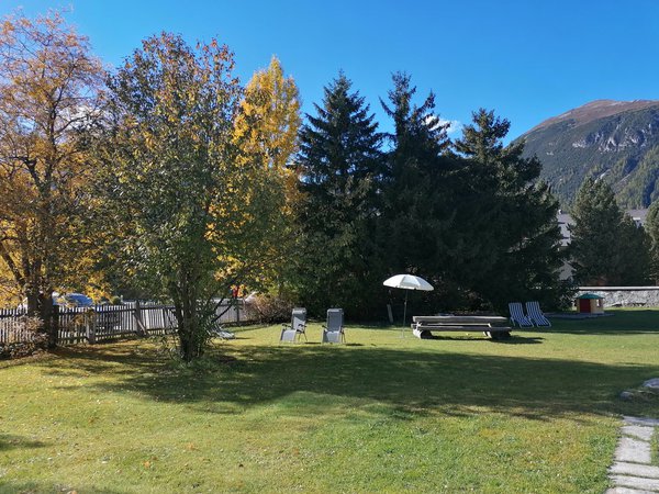 Garten Sommer
